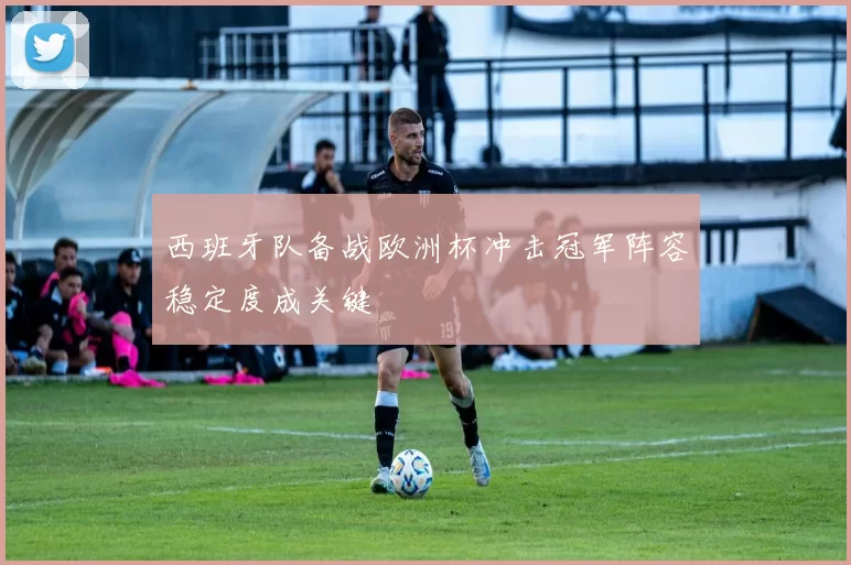 西班牙队备战欧洲杯冲击冠军阵容稳定度成关键