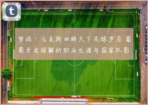 努诺·戈麦斯回顾天下足球岁月 葡萄牙名宿解析职业生涯与国家队影响