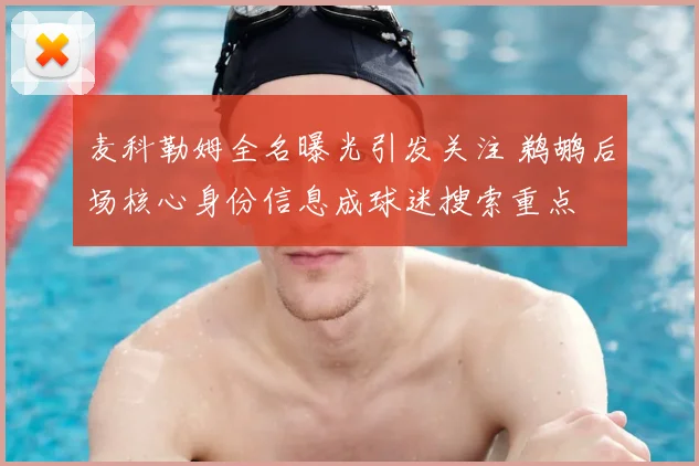 麦科勒姆全名曝光引发关注 鹈鹕后场核心身份信息成球迷搜索重点