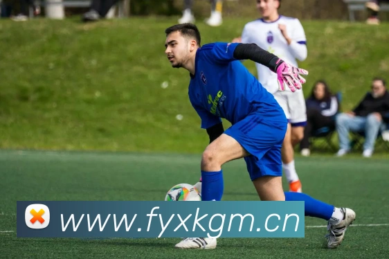 bsport官方入口平台生态图