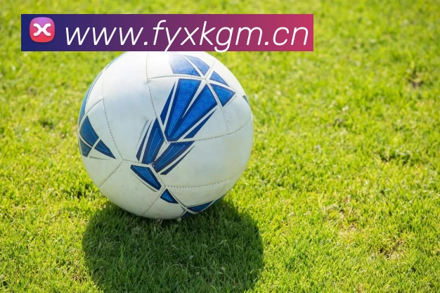 开云网页版·官方版在线登入 - 开云(中国)品牌故事